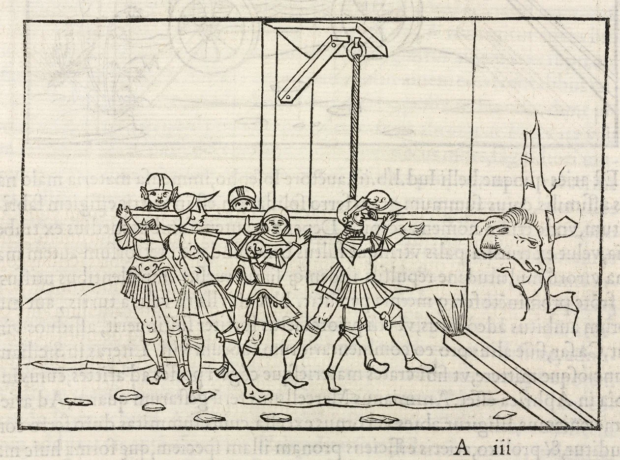 kocbasinin kullanimi